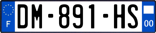 DM-891-HS