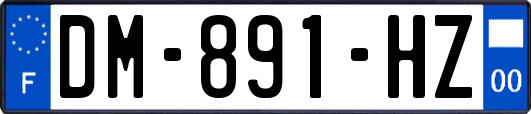 DM-891-HZ