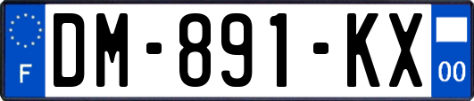 DM-891-KX