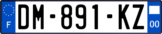 DM-891-KZ