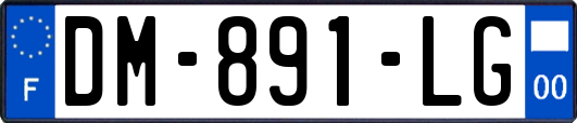 DM-891-LG