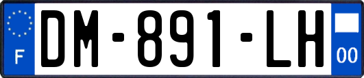 DM-891-LH