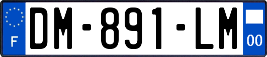 DM-891-LM