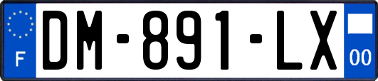 DM-891-LX