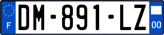DM-891-LZ