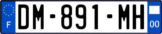 DM-891-MH