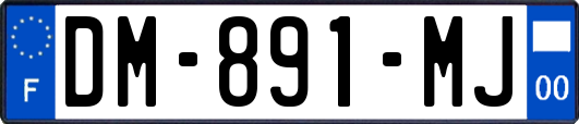 DM-891-MJ