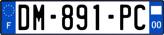 DM-891-PC
