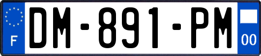 DM-891-PM