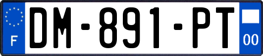 DM-891-PT