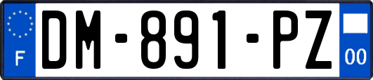 DM-891-PZ