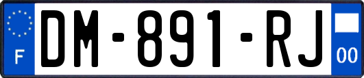 DM-891-RJ