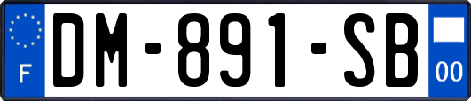 DM-891-SB