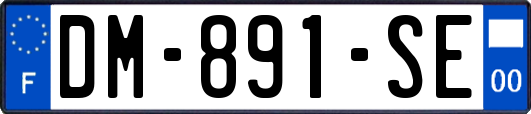 DM-891-SE