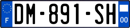DM-891-SH