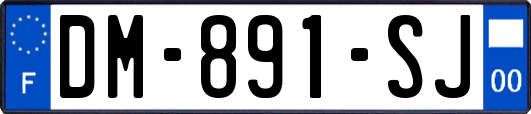 DM-891-SJ