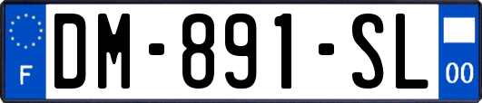 DM-891-SL