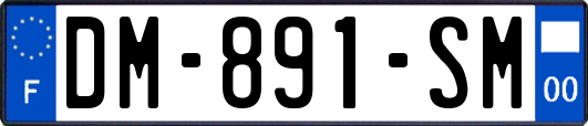 DM-891-SM