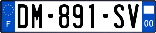 DM-891-SV