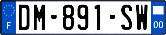 DM-891-SW