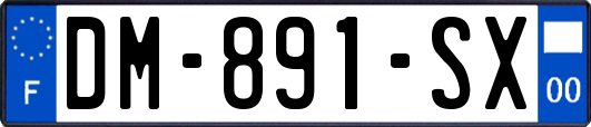 DM-891-SX