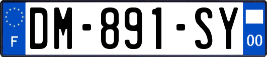 DM-891-SY
