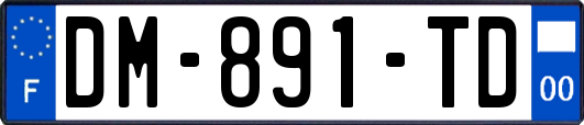 DM-891-TD