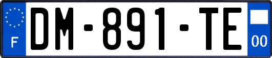 DM-891-TE