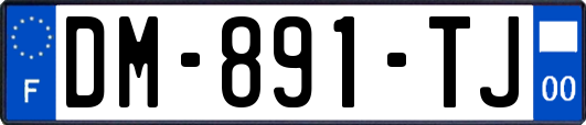 DM-891-TJ
