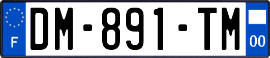 DM-891-TM