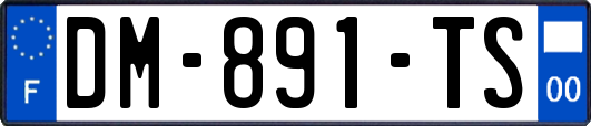 DM-891-TS