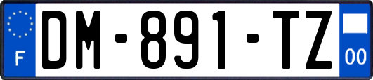 DM-891-TZ