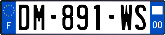 DM-891-WS