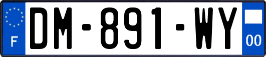 DM-891-WY