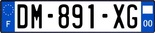 DM-891-XG