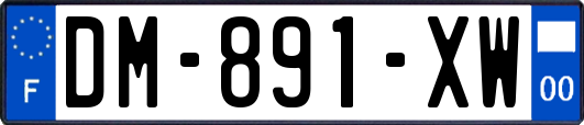 DM-891-XW