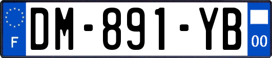 DM-891-YB