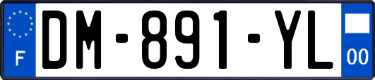 DM-891-YL