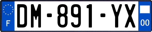 DM-891-YX