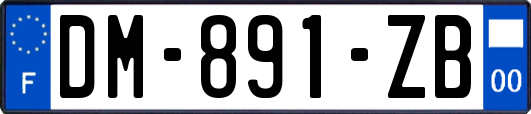 DM-891-ZB