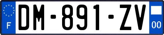 DM-891-ZV