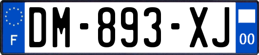 DM-893-XJ