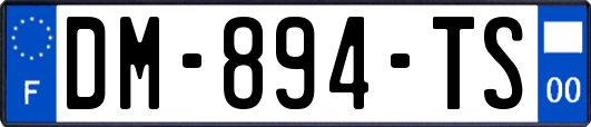DM-894-TS