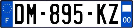 DM-895-KZ