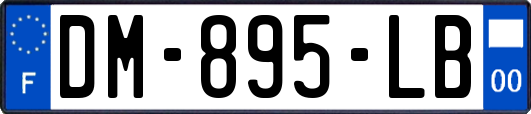 DM-895-LB