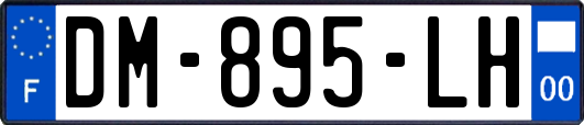 DM-895-LH
