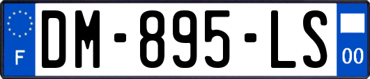 DM-895-LS