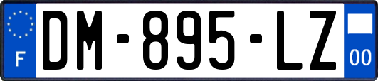 DM-895-LZ