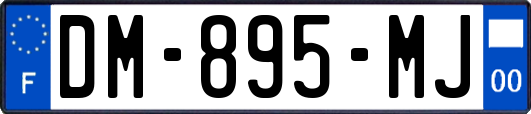 DM-895-MJ