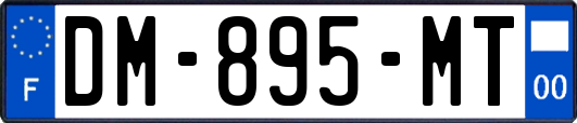 DM-895-MT